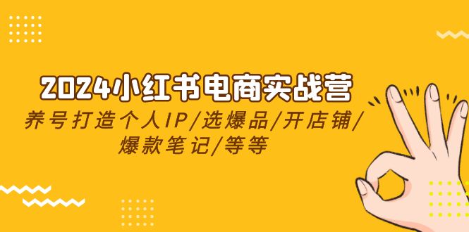 2024小红书电商实战营，养号打造IP/选爆品/开店铺/爆款笔记/等等（24节）-同心网创