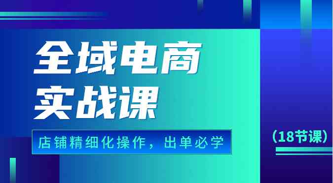 全域电商实战课，个人店铺精细化操作流程，出单必学内容（18节课）-同心网创