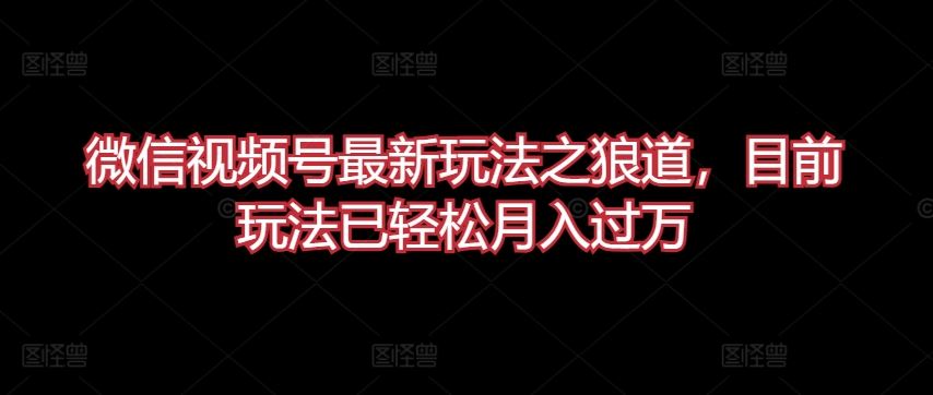 微信视频号最新玩法之狼道，目前玩法已轻松月入过万【揭秘】-404网创