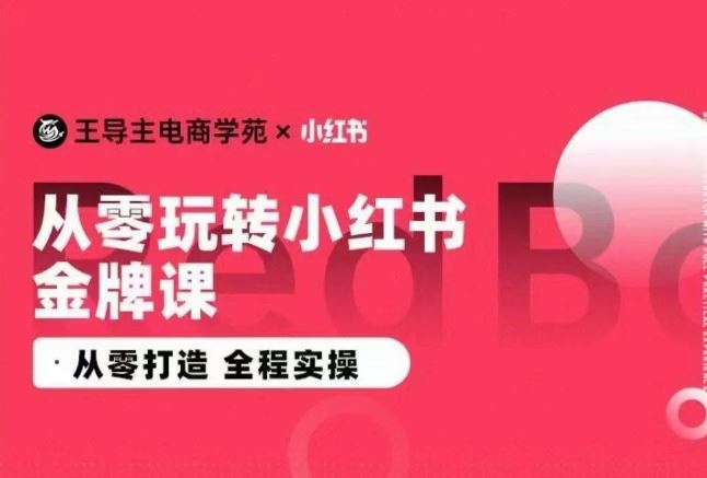 王导主·小红书电商运营实操课，​从零打造  全程实操-同心网创