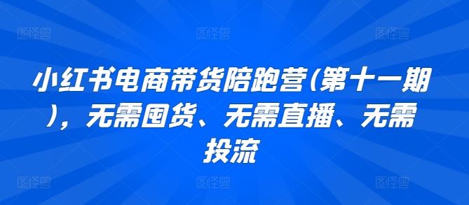 小红书电商带货陪跑营(第十一期)，无需囤货、无需直播、无需投流-同心网创