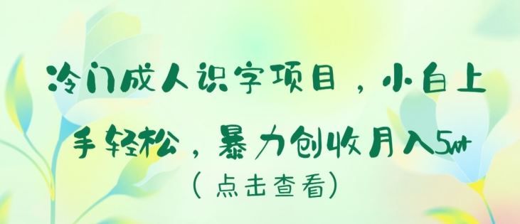 冷门成人识字项目，小白上手轻松，暴力创收月入5w+【揭秘】-同心网创