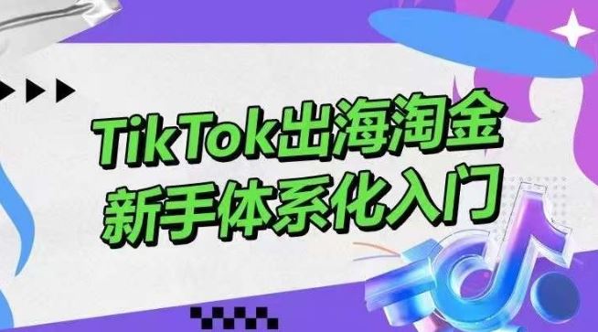 TikTok出海淘金，新手体系化入门，零基础快速入门，掌握短视频、直播带货等引流到变现的知识-同心网创