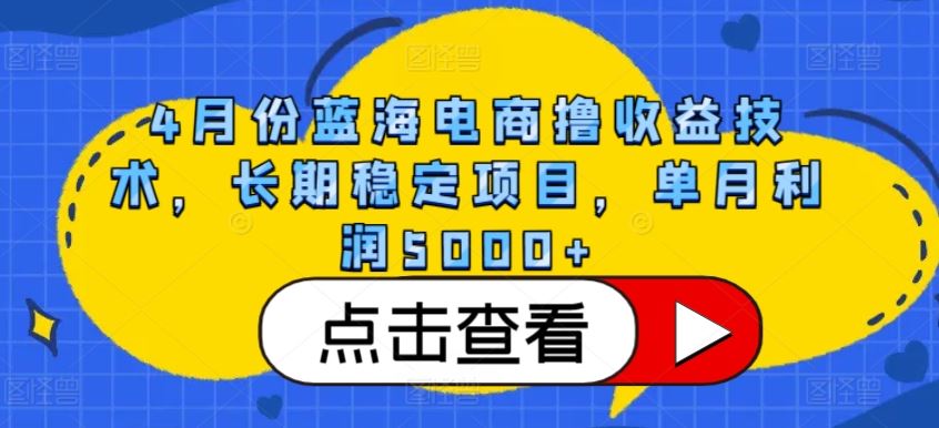 4月份蓝海电商撸收益技术，长期稳定项目，单月利润5000+【揭秘】-同心网创