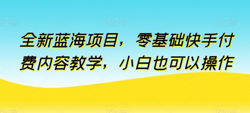 全新蓝海项目，零基础快手付费内容教学，小白也可以操作【揭秘】-同心网创