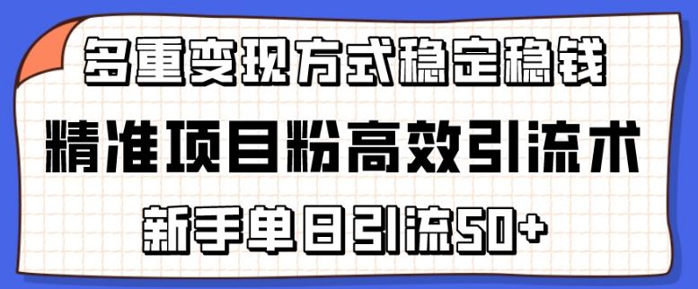 精准项目粉高效引流术，新手单日引流50+，多重变现方式稳定赚钱【揭秘】-同心网创