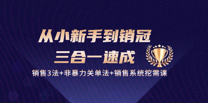 从小新手到销冠三合一速成：销售3法+非暴力关单法+销售系统挖需课 (27节)-404网创