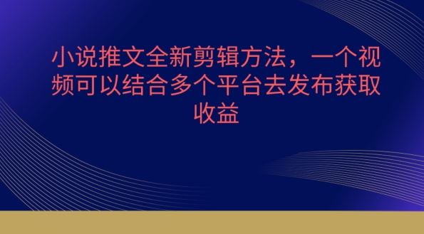 小说推文全新剪辑方法，一个视频可以结合多个平台去发布获取【揭秘】-同心网创