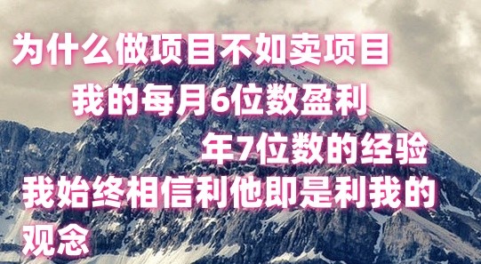 做项目不如卖项目，每月6位数盈利，年7位数经验-同心网创