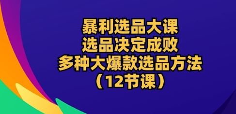 暴利选品大课：选品决定成败，教你多种大爆款选品方法(12节课)-同心网创