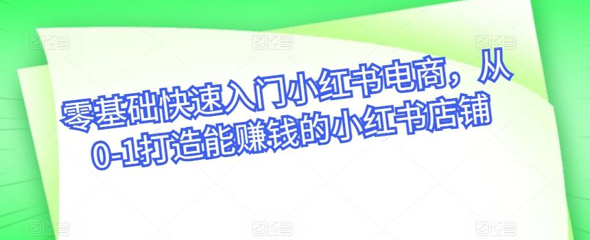 零基础快速入门小红书电商，从0-1打造能赚钱的小红书店铺-404网创