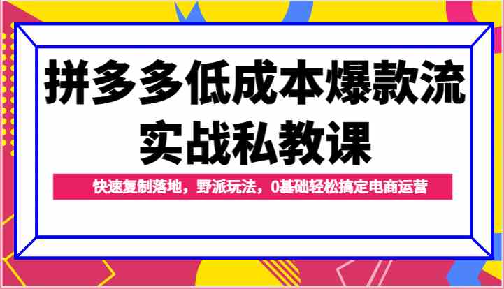 拼多多低成本爆款流实战私教课，快速复制落地，野派玩法，0基础轻松搞定电商运营-同心网创