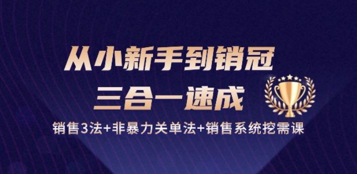 从小新手到销冠 三合一速成：销售3法+非暴力关单法+销售系统挖需课 (27节)-404网创