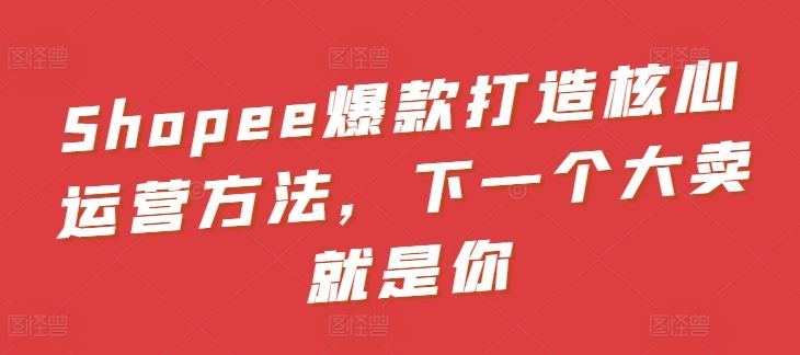 Shopee爆款打造核心运营方法，下一个大卖就是你-404网创