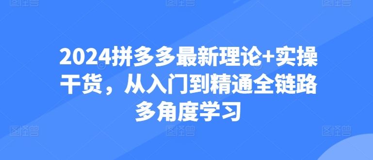 2024拼多多最新理论+实操干货，从入门到精通全链路多角度学习-同心网创