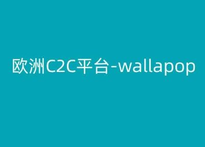 欧洲C2C平台-wallapop-kim跨境电商教程-404网创