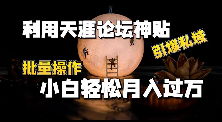 利用天涯论坛神贴，引爆私域，批量操作，小白轻松月入过w【揭秘】-同心网创