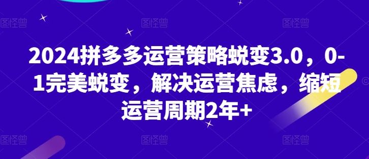 2024拼多多运营策略蜕变3.0，0-1完美蜕变，解决运营焦虑，缩短运营周期2年+-同心网创