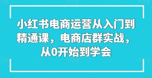 小红书电商运营从入门到精通课，电商店群实战，从0开始到学会-同心网创