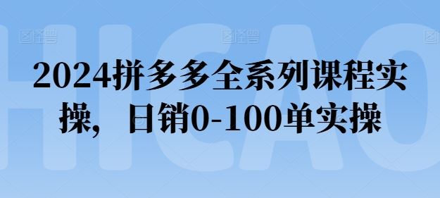 2024拼多多全系列课程实操，日销0-100单实操【必看】-同心网创