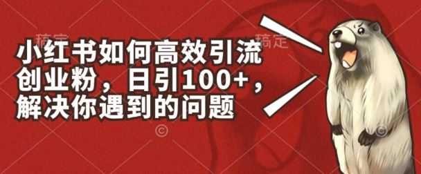 小红书如何高效引流创业粉，日引100+，解决你遇到的问题【揭秘】-同心网创