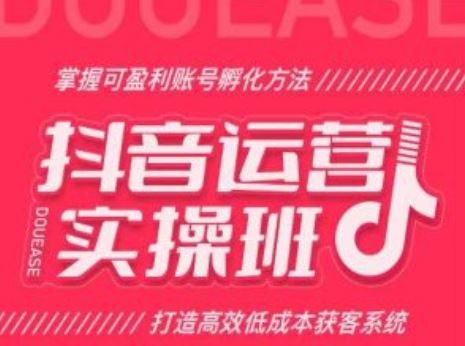 抖音运营实操班，掌握可盈利账号孵化方法，打造高效低成本获客系统-同心网创