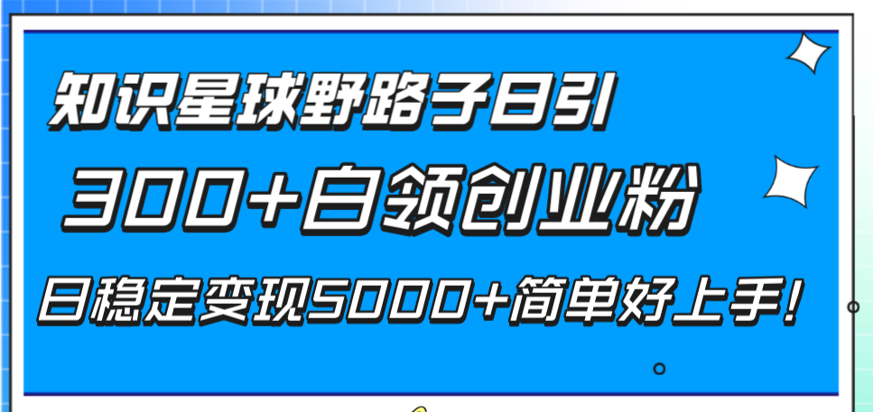 （8315期）知识星球野路子日引300+白领创业粉，日稳定变现5000+简单好上手！-404网创