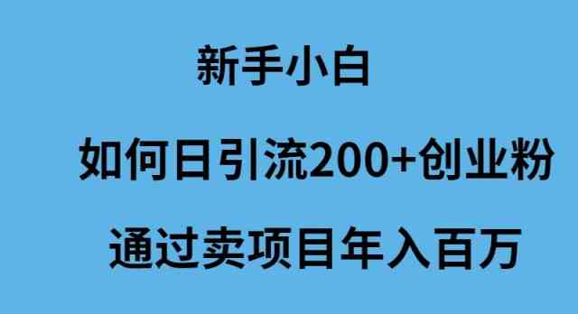 （9668期）新手小白如何日引流200+创业粉通过卖项目年入百万-同心网创