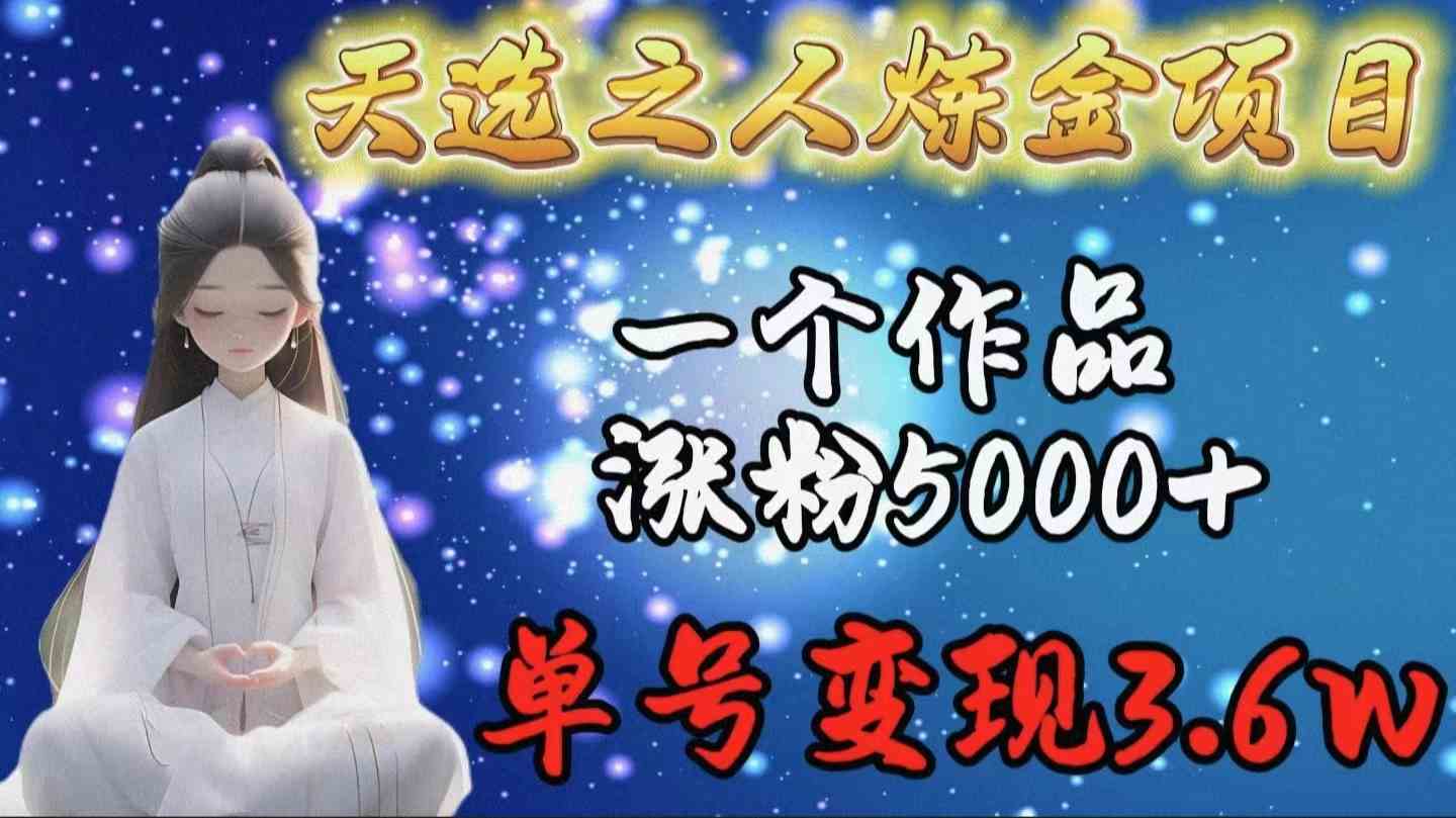 （9693期）天选之人炼金项目，一个作品涨粉5000+，单号变现3.6w-同心网创