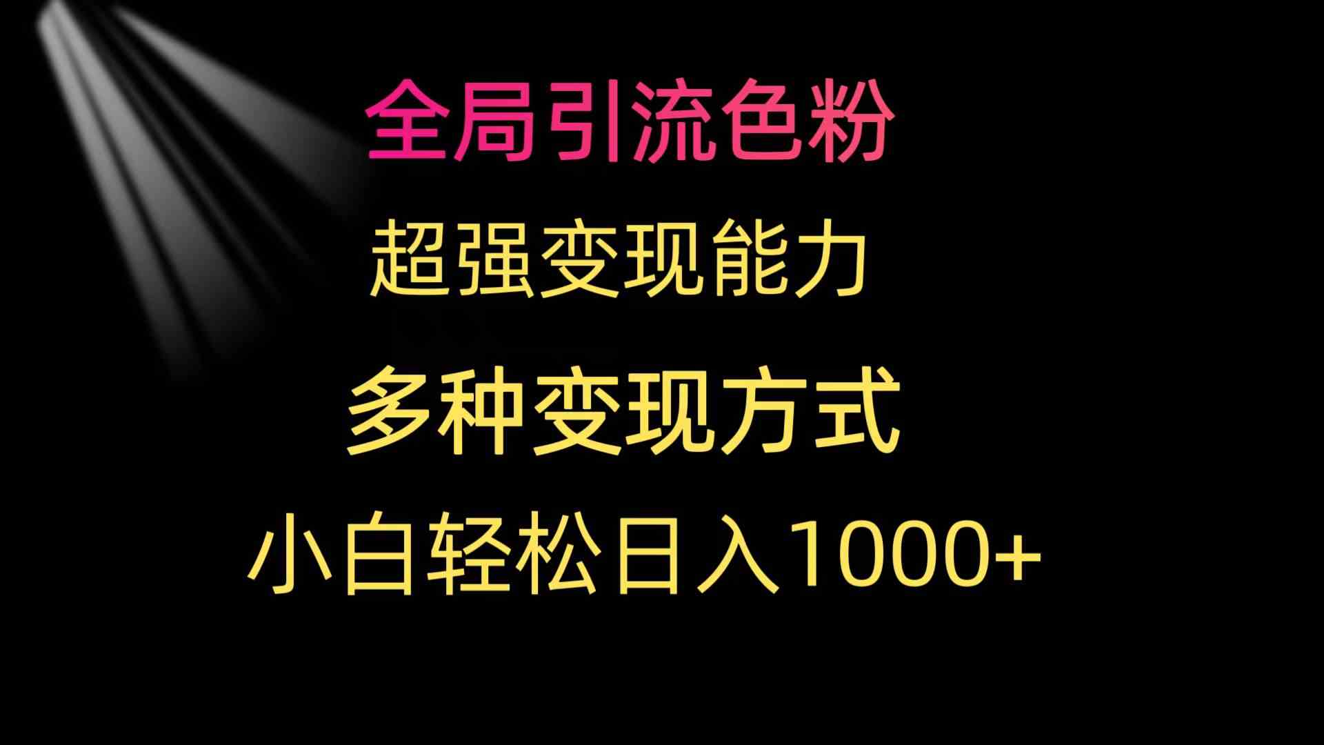 （9680期）全局引流色粉 超强变现能力 多种变现方式 小白轻松日入1000+-同心网创