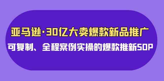 （9944期）亚马逊30亿·大卖爆款新品推广，可复制、全程案例实操的爆款推新SOP-同心网创