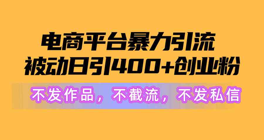 （10168期）电商平台暴力引流,被动日引400+创业粉不发作品，不截流，不发私信-404网创