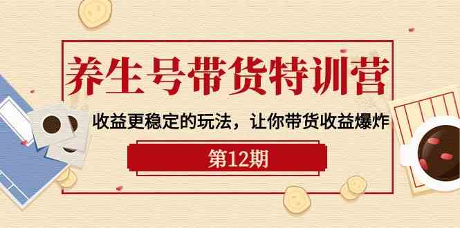 （10110期）养生号带货特训营【12期】收益更稳定的玩法，让你带货收益爆炸-9节直播课-404网创