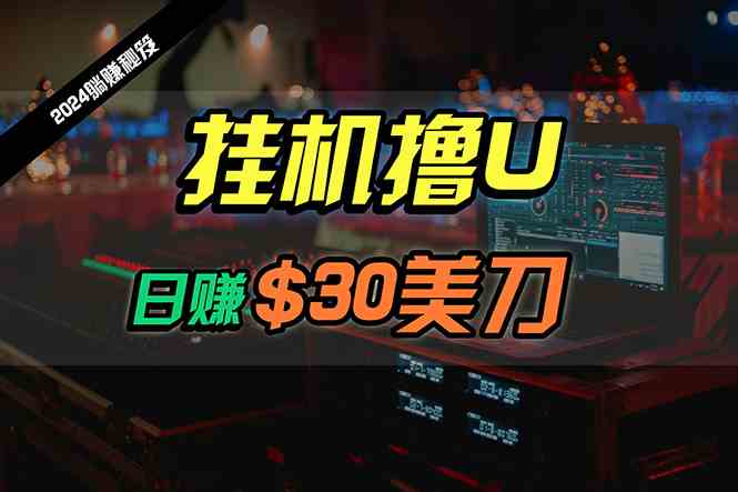 （10013期）日赚30美刀，2024最新海外挂机撸U内部项目，全程无人值守，可批量放大-同心网创