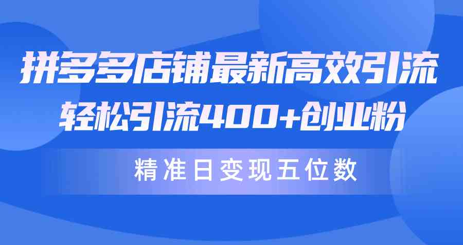 （10041期）拼多多店铺最新高效引流术，轻松引流400+创业粉，精准日变现五位数！-404网创