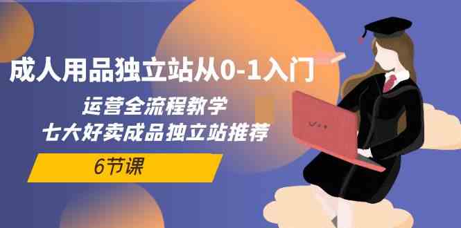 （10082期）成人用品独立站从0-1入门，运营全流程教学，七大好卖成品独立站推荐-6节课-404网创