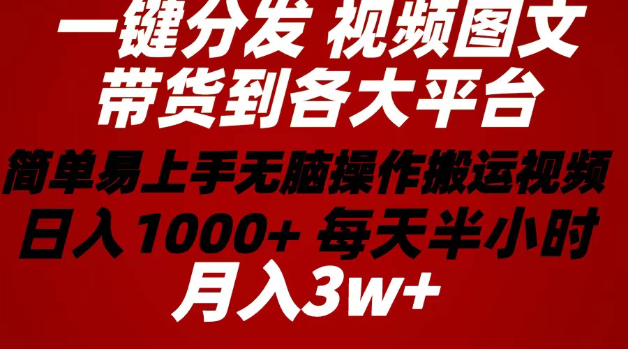 （10667期）2024年 一键分发带货图文视频  简单易上手 无脑赚收益 每天半小时日入1…-404网创