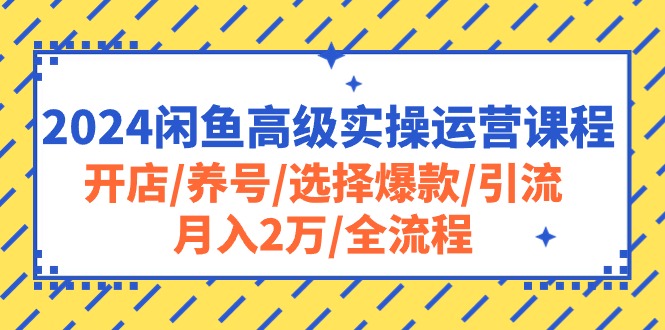 （10711期）2024闲鱼高级实操运营课程：开店/养号/选择爆款/引流/月入2万/全流程-同心网创