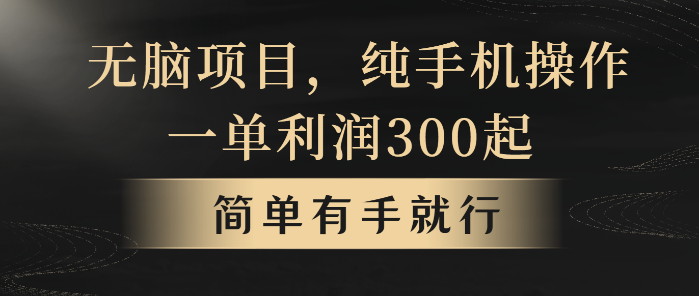 （10699期）无脑项目，一单几百块，轻松月入5w+，看完就能直接操作-同心网创