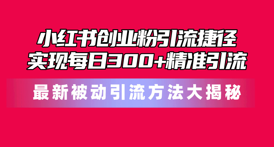 （10692期）小红书创业粉引流捷径！最新被动引流方法大揭秘，实现每日300+精准引流-404网创