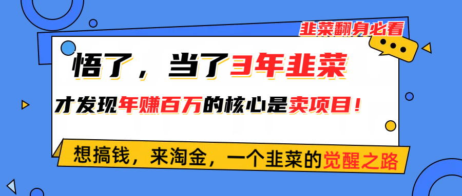 （10759期）悟了，当了3年韭菜，才发现网赚圈年赚100万的核心是卖项目，含泪分享！-404网创