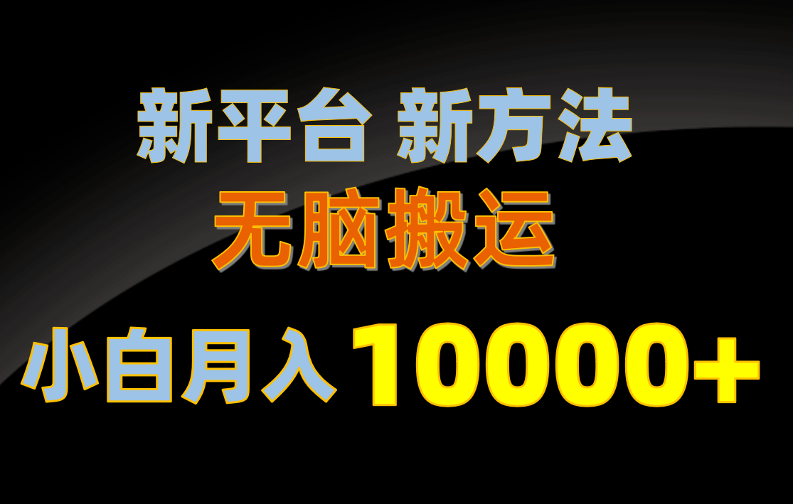 （10605期）新平台新方法，无脑搬运，月赚10000+，小白轻松上手不动脑-404网创