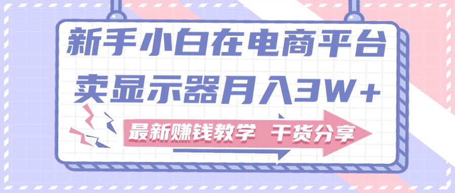 （11053期）新手小白如何做到在电商平台卖显示器月入3W+，最新赚钱教学干货分享-同心网创