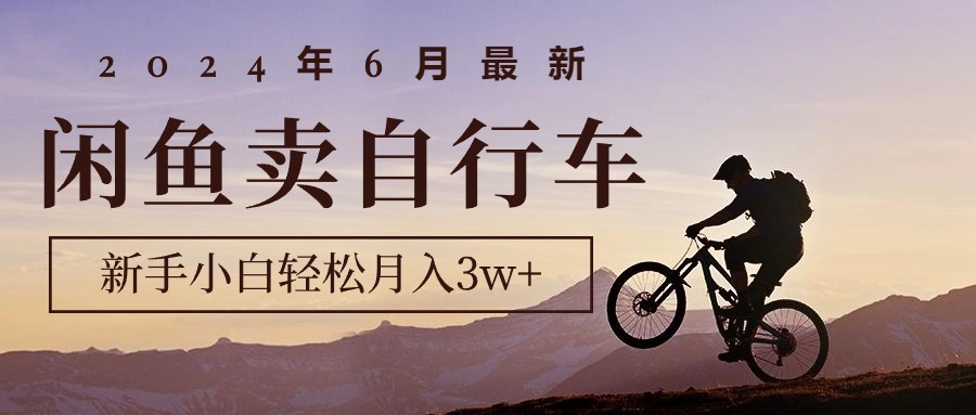 （10915期）2024年6月最新闲鱼卖自行车，新手小白轻松月入3w+项目-404网创