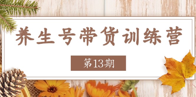 （11275期）养生号-带货训练营【第13期】收益更稳定的玩法，让你带货收益爆炸-404网创