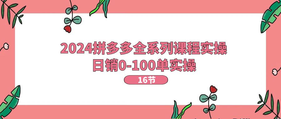 （11222期）2024拼多多全系列课程实操，日销0-100单实操【16节课】-404网创