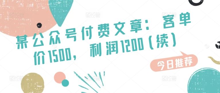 某公众号付费文章：客单价1500，利润1200(续)，市场几乎可以说是空白的-同心网创