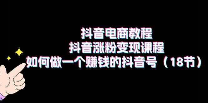 抖音电商教程：抖音涨粉变现课程：如何做一个赚钱的抖音号（18节）-404网创