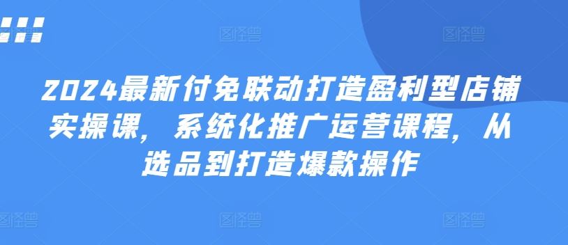 2024最新付免联动打造盈利型店铺实操课，​系统化推广运营课程，从选品到打造爆款操作-同心网创