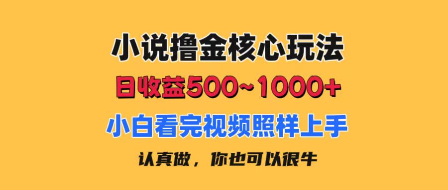 （11461期）小说撸金核心玩法，日收益500-1000+，小白看完照样上手，0成本有手就行-同心网创